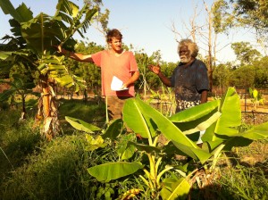 AHED Client Timothy Dhimala discusses his market garden enterprise with an AHED Facilitator