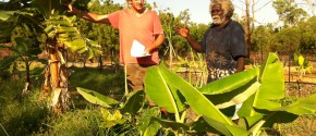 AHED Client Timothy Dhimala discusses his market garden enterprise with an AHED Facilitator