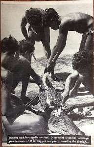 vintage-pc-view-of-australian-aboriginals-skinning-a-1