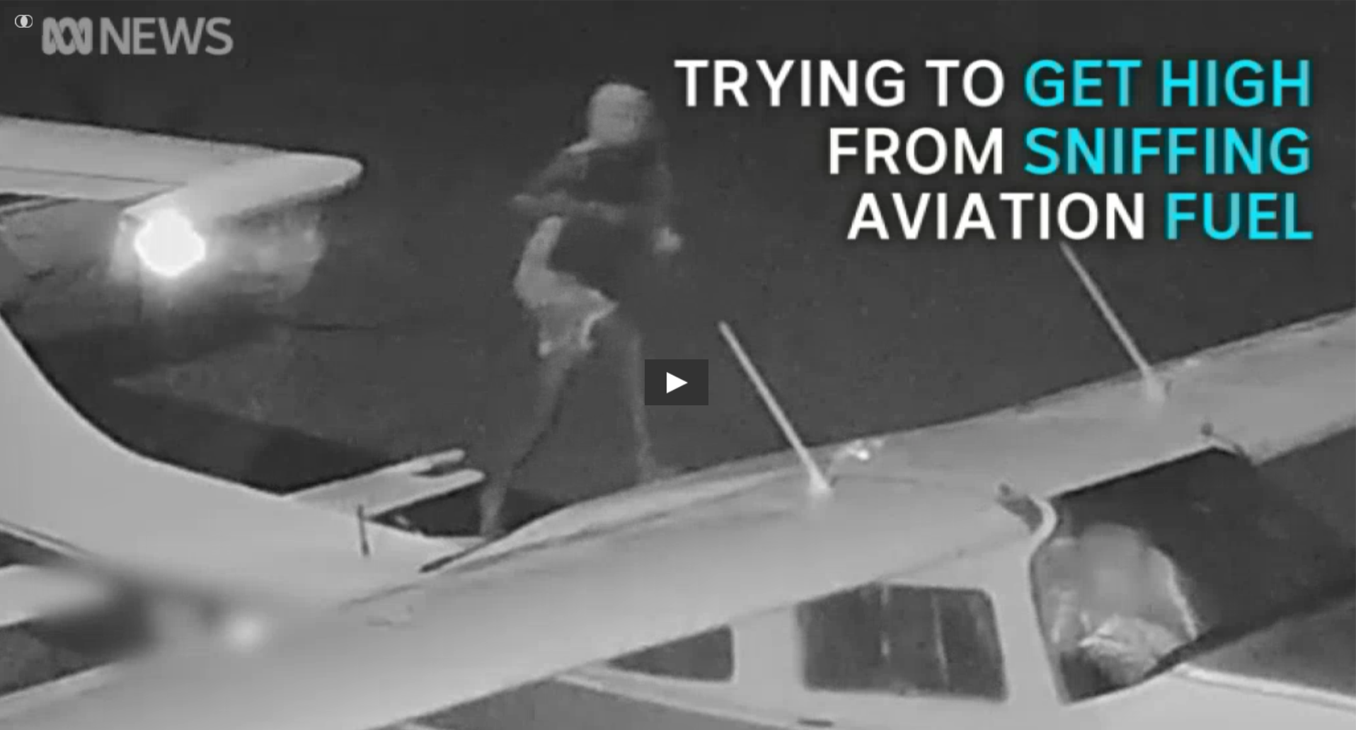 Answers to the Lead Poisoning / Sniffing Problem » Why Warriors